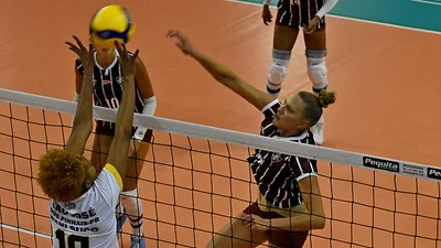 Pinhais Mari