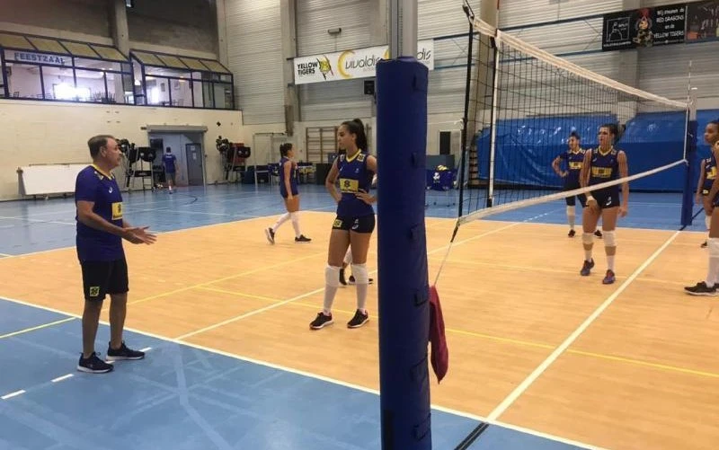 CBV
