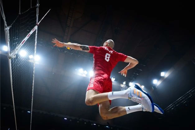 Kurek