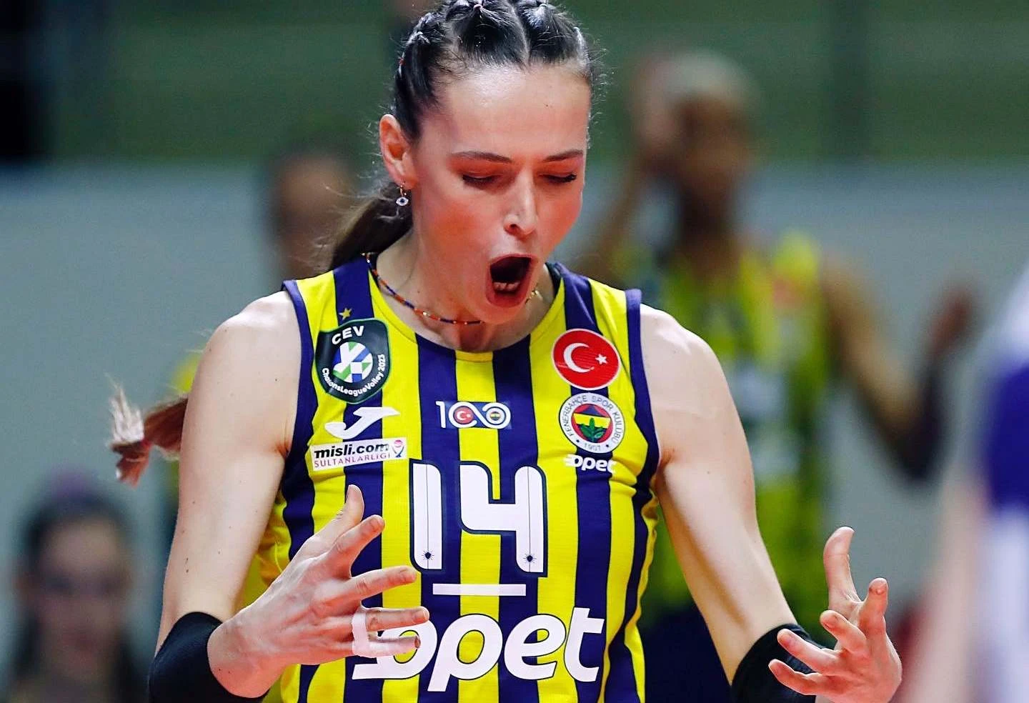 Fenerbahce