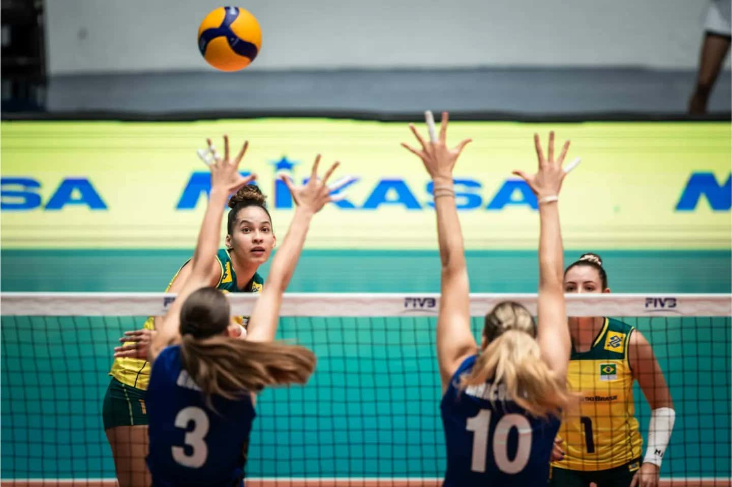 CAMPEONATO MUNDIAL DE VÔLEI FEMININO: Veja quando será a estreia do Brasil  e tabela de jogos no Mundial de Vôlei