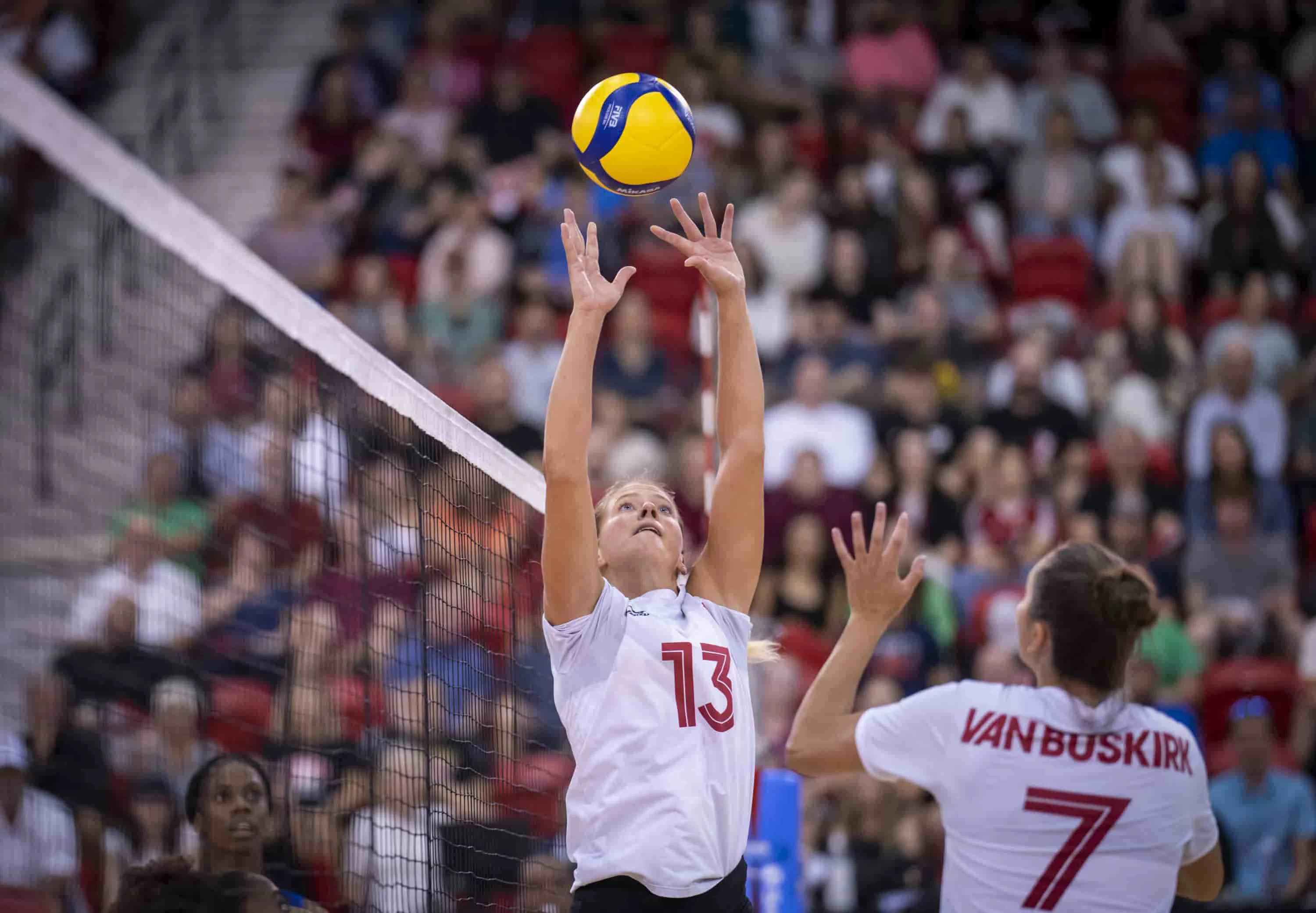 Brie Norceca