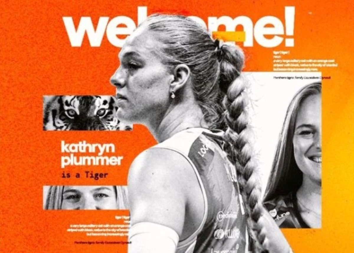 Plummer Eczacibasi