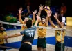 Brasil VNL