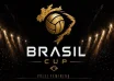 Brasil Cup