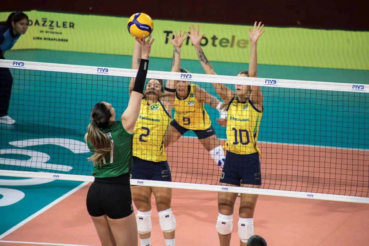 Sele&ccedil;&atilde;o B