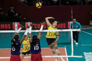 Copa Sul-Americana Números
