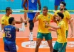 Lucarelli Brasil