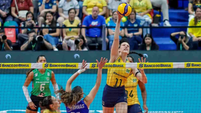 Luzia Brasil