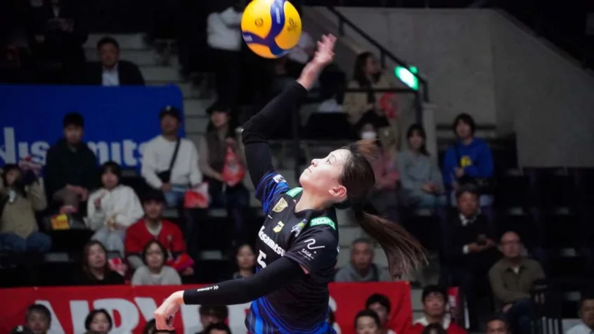 Denso Hisamitsu